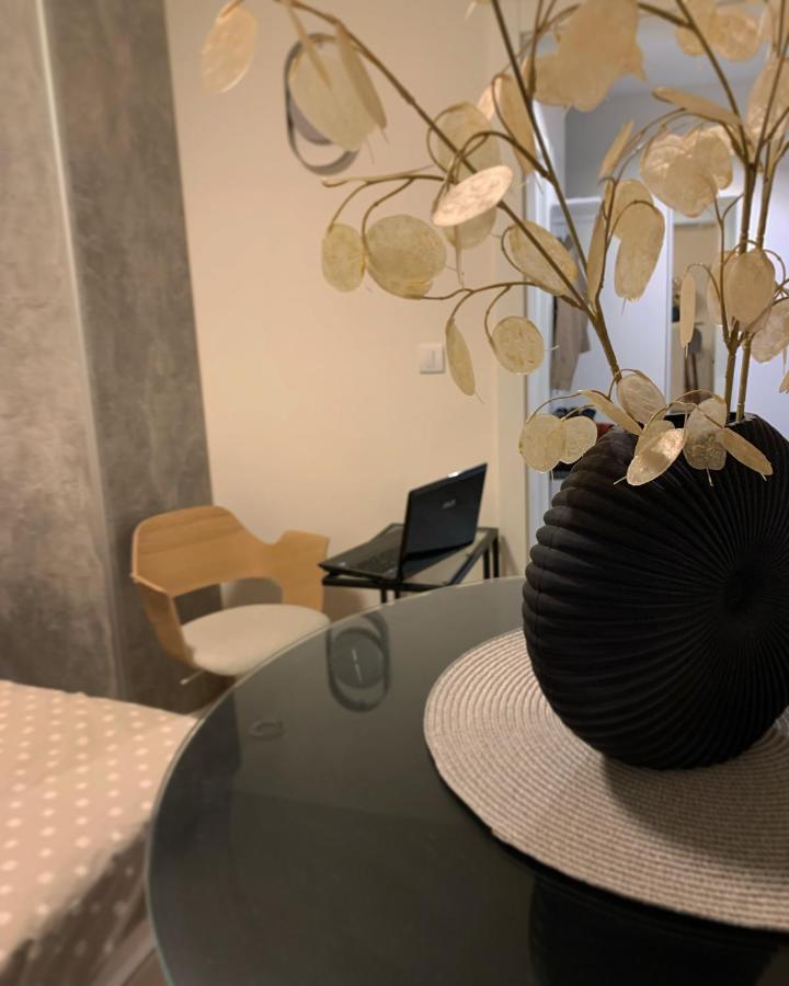 Dm Apartman Beograd Exteriér fotografie